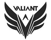 Valiant bikes